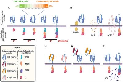 Chimeric Antigen Receptor T-Cell Therapy in Paediatric B-Cell Precursor Acute Lymphoblastic Leukaemia: Curative Treatment Option or Bridge to Transplant?